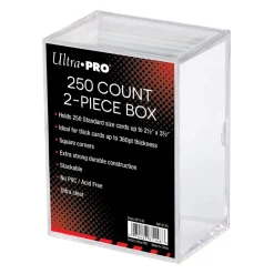 250 Count 2-Piece Box
