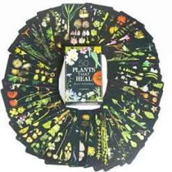 50 Plants That Heal: Discover Medicinal Plants - a Card Deck
