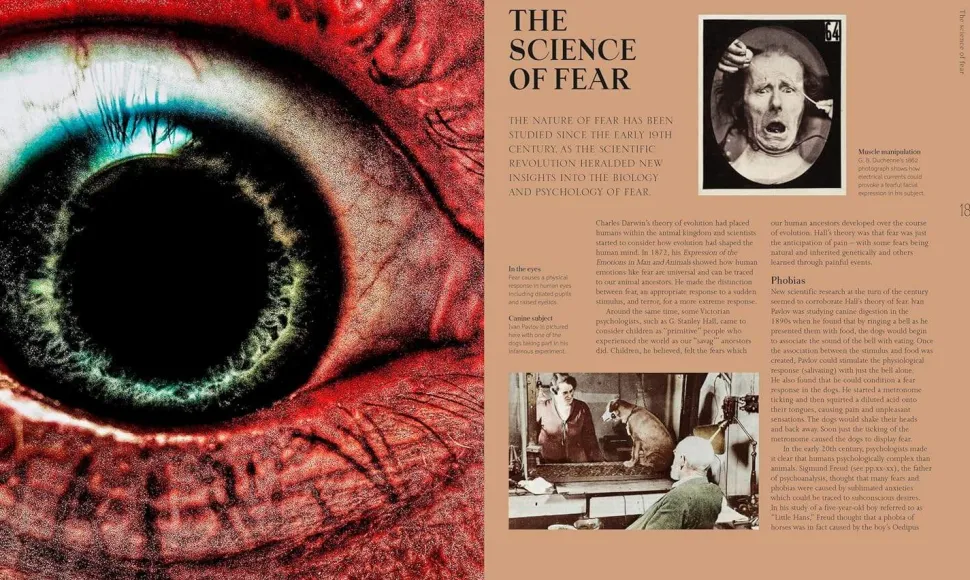 A History of Horror, Fear, and the Uncanny