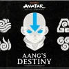 Aangs Destiny