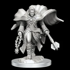 Aasimar Male Cleric (Wave 20) Dungeons & Dragons Nolzurs Marvelous Unpainted Miniature