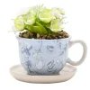 Alice Teacup Planter with Faux Plant