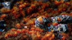 Alien Fire Wild 6 mm