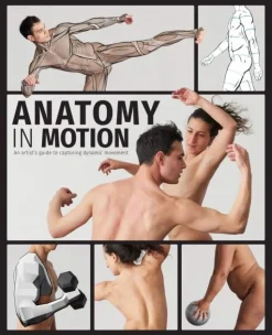 Anatomy in Motion: An artist's guide to capturing dynamic movement
