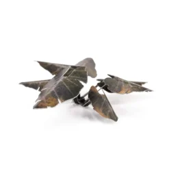 Black Magic Taro Laser Plants