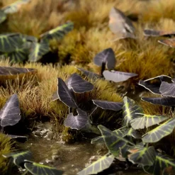 Black Magic Taro Laser Plants