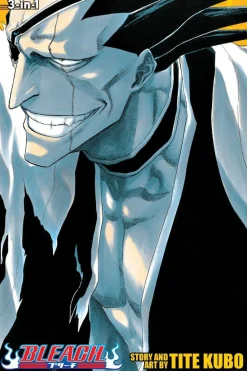 Bleach (3-in-1 Edition), Vol. 5