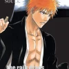 Bleach SOULs. Official Character Book