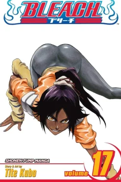 Bleach, Vol. 17
