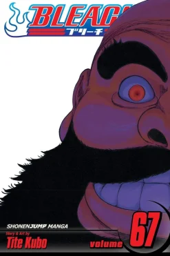 Bleach, Vol. 67