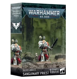 Blood Angels: Sanguinary Priest