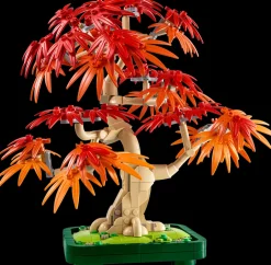 Bonsaitre: Japansk lønn (10348)