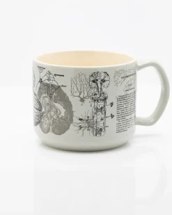 Brain Anatomy Ceramic Mug 450 ml