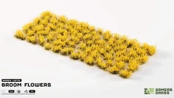 Broom Flowers