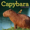 Capybara Wall Calendar 2026