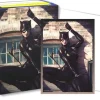 Catwoman Brushed Art Standard Size (100) Kortlommer, Dragon Shield