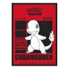 Charmander Standard Size Sleeves (65)