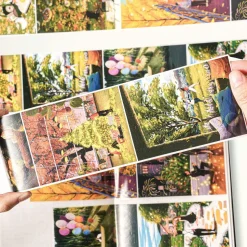 Cupid's Muse Wide Washi Tape