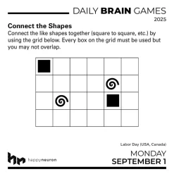 Daily Brain Games 2025 Day-to-Day Calendar: Energize your mind, one puzzle at a time!