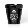 Dead Plant Plant Pot