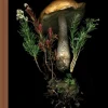 Deep Dark Forest Mushroom Journal