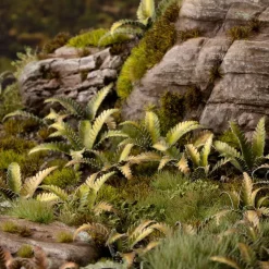 Deer Fern Laser Plants