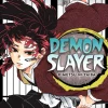 Demon Slayer: Kimetsu no Yaiba, Vol. 20