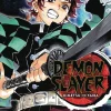 Demon Slayer: Kimetsu no Yaiba, Vol. 10