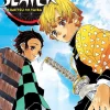 Demon Slayer: Kimetsu no Yaiba, Vol. 3