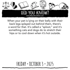 Did You Know? 2025 Day-to-Day Calendar