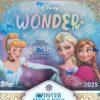 Disney Wonder 2025 Winter Mega Box