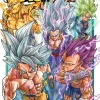 Dragon Ball Super, Vol. 24