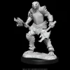 Dragonborn Female Fighter (Wave 15) Dungeons & Dragons Nolzurs Marvelous Unpainted Miniature Figur