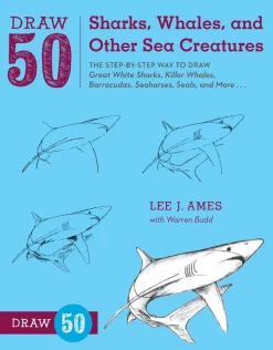 Draw 50 Sharks, Whales, and Other Sea Creatures
