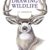 Drawing Wildlife