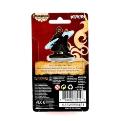 Dwarf Male Sorcerer Pathfinder Battles Premium Painted Figure Figur