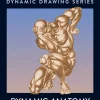 Dynamic Anatomy