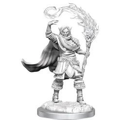 Elf Male Cleric (Wave 16) Dungeons & Dragons Nolzurs Marvelous Unpainted Miniature Figur