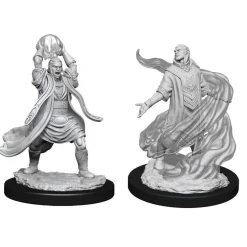 Elf Male Sorcerer (Wave 11) Dungeons & Dragons Nolzurs Marvelous Unpainted Miniature Figur