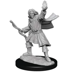 Elf Male Sorcerer (Wave 14) Pathfinder Deep Cuts Unpainted Miniature Figur