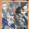 FAIRY TAIL Vol. 35