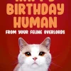 Feline overlords Card