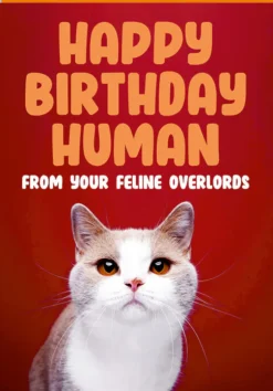 Feline overlords Card