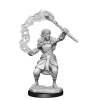 Firbolg Female Druid (Wave 13) Dungeons & Dragons Nolzurs Marvelous Unpainted Miniature Figur