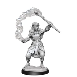 Firbolg Female Druid (Wave 13) Dungeons & Dragons Nolzurs Marvelous Unpainted Miniature Figur