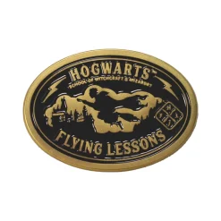 Flying Lessons Pin Badge