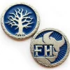 Frosthaven Challenge Coin