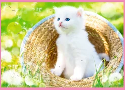 Fun Cats 4-in-1 Puzzle