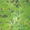 Game Mat Acid Lagoon Warlock Tiles