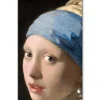 Girl with a pearl earring